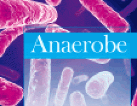 Anaerobe