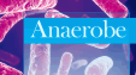 Anaerobe