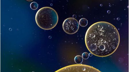 Cell_publicdomain