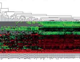 Cluster-analysis-of-MIRNA-data