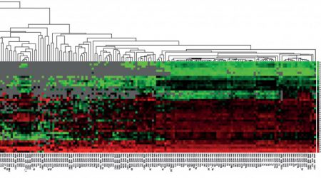 Cluster-analysis-of-MIRNA-data