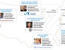 Collaboratives-map