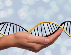 DNA-genetica_pixabay