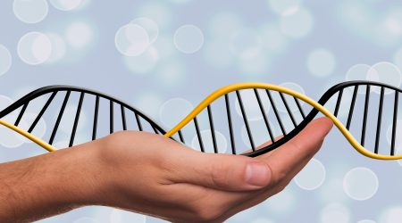 DNA-genetica_pixabay