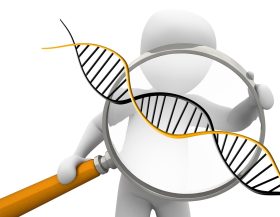 DNA-onderzoek_pixabay
