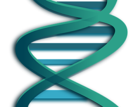 DNA