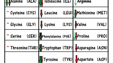 Dysregulated-amino-acids-Fluge-Mella-2017