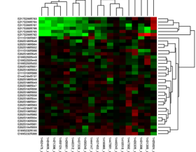 Heatmap_480px