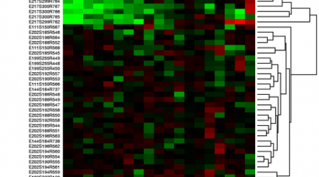 Heatmap_480px