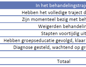 KritiekRapport2019-AantalPatienten