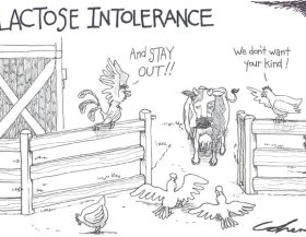 Lactose-intolerance