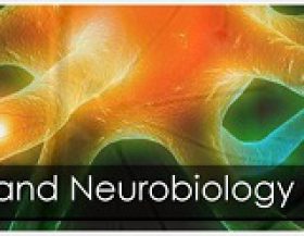 Logo_JournalofNeurologyandNeurobiology