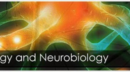 Logo_JournalofNeurologyandNeurobiology