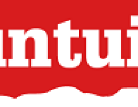 Logo_Puntuit