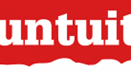 Logo_Puntuit