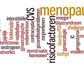 MenopauzeWordle1