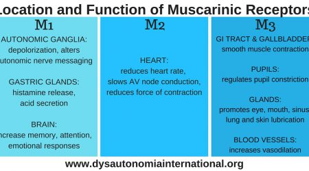 MuscarineReceptoren