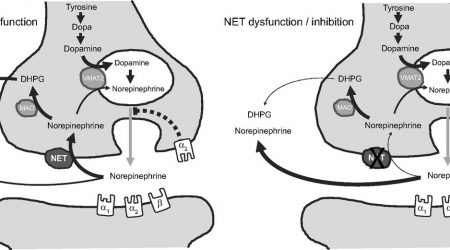 NETdeficiency