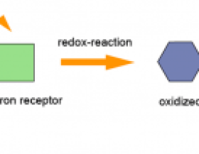 Redox-Reaction Redox-Reaction