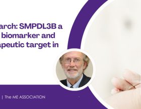 Research-SMPDL3B Research-SMPDL3B