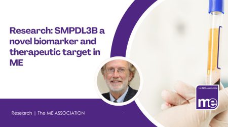 Research-SMPDL3B