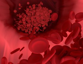 Rode-bloedcellen_pixabay