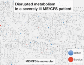 VerstoordMetabolismeMECFS