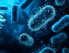 Virus-AI_pixabay